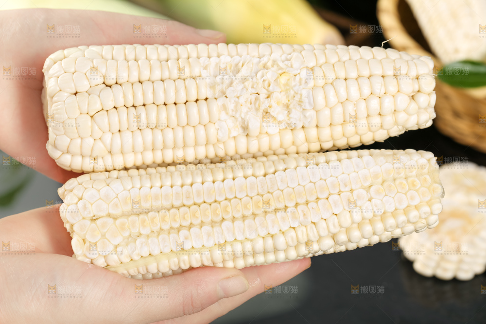 手里拿着甜玉米