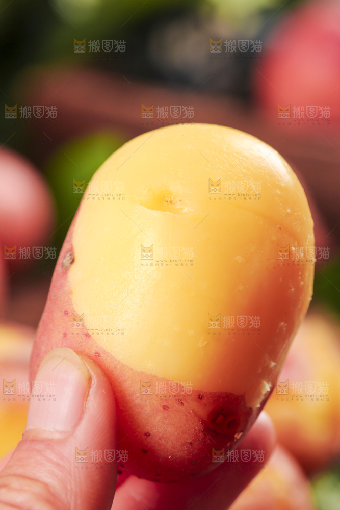 手里拿着红皮土豆