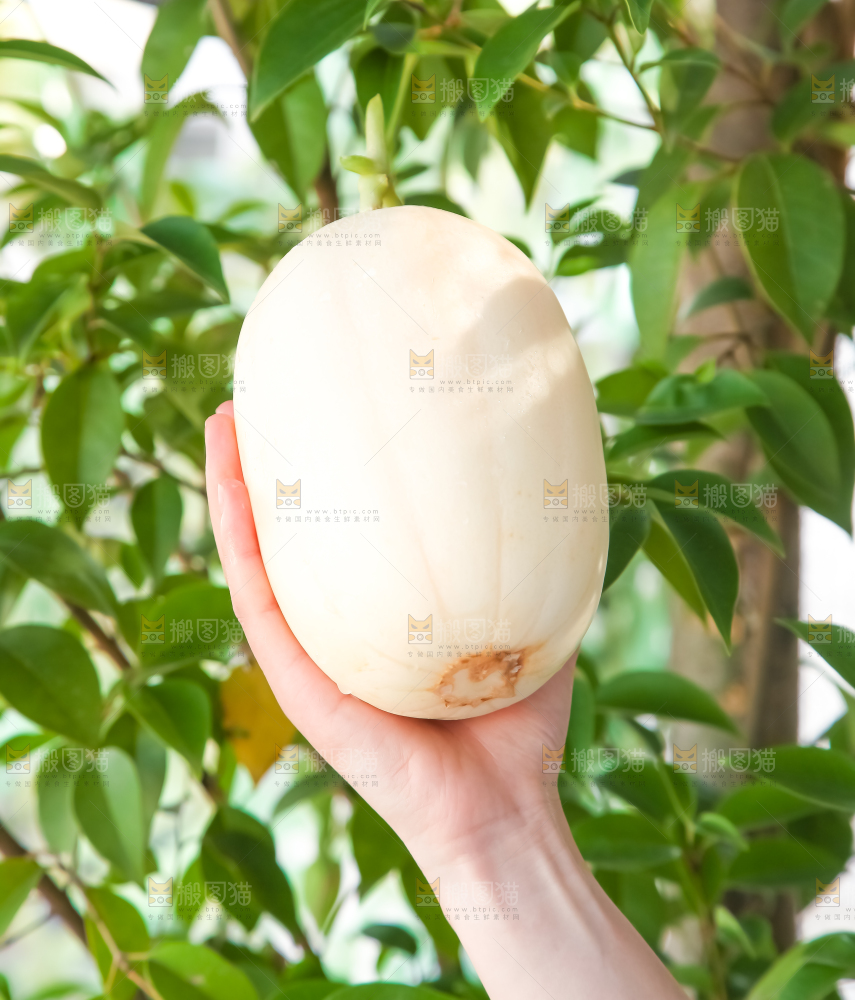 手里拿着东方蜜甜瓜