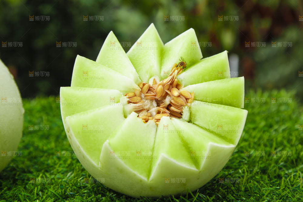 绿草地上摆放着玉菇甜瓜