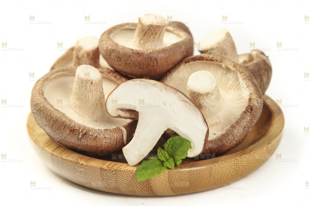 盘子里装着新鲜香菇