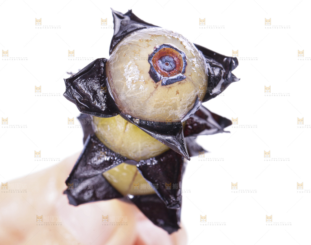 手里拿着蓝莓果