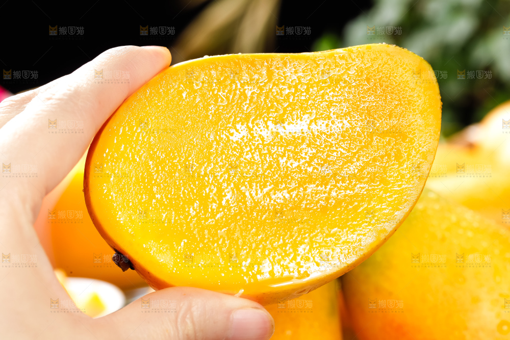 手里拿着小台芒