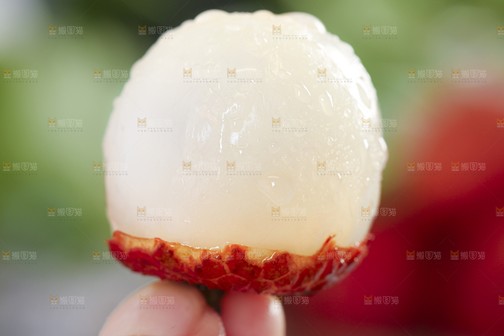 手里拿着鲜荔枝