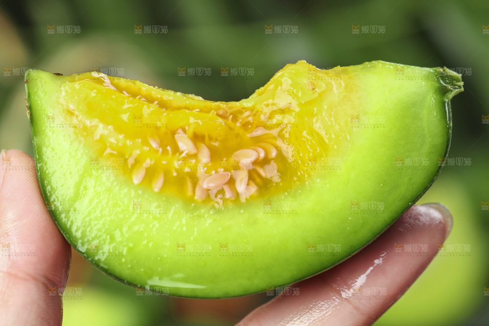 手里拿着绿宝香瓜
