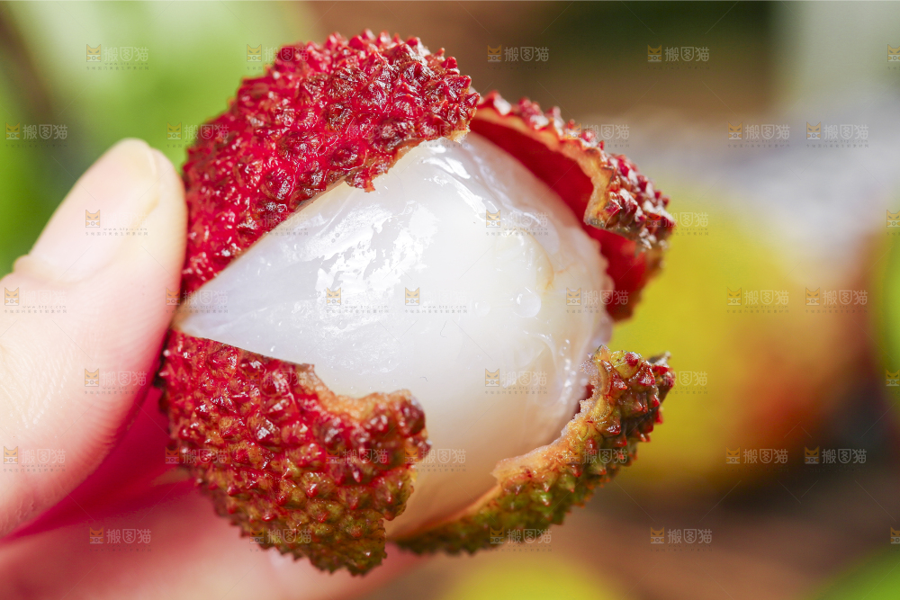 手里拿着荔枝