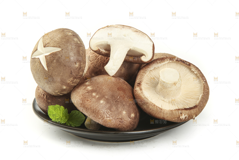 盘子里装着新鲜香菇