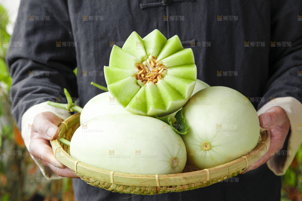 手里端着一篮玉菇甜瓜