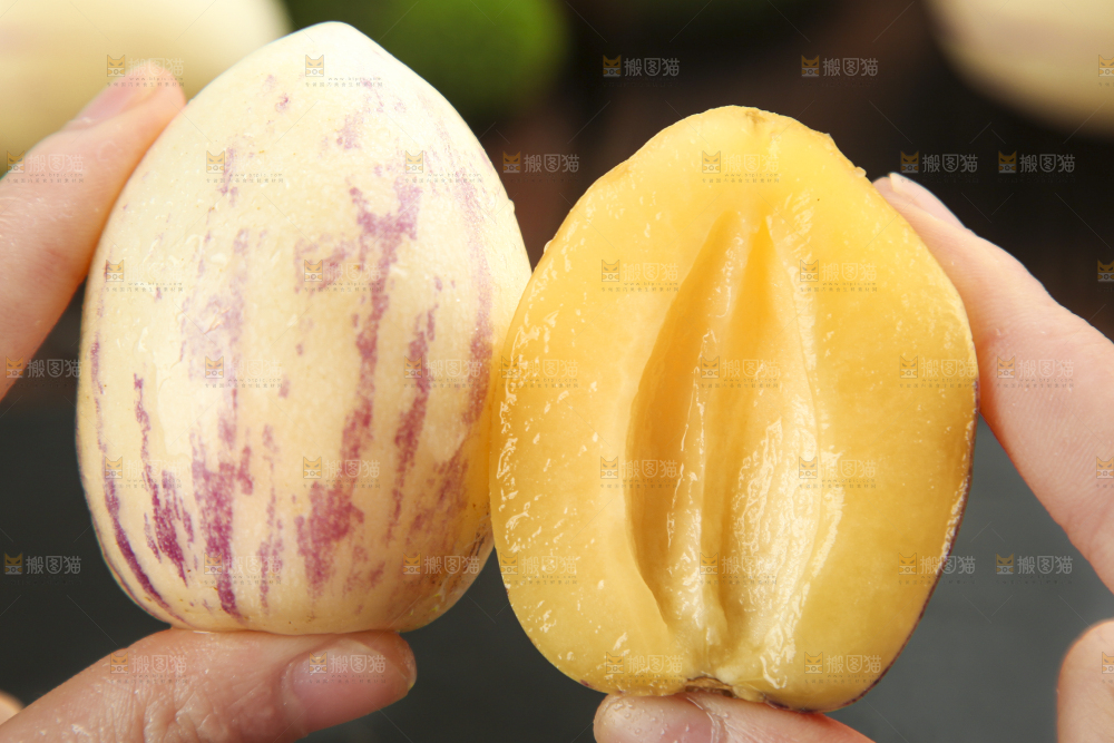 手里拿着人参圆果