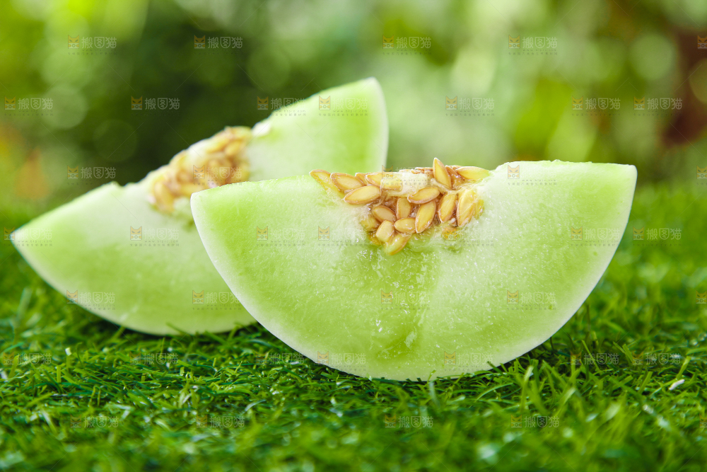 绿草地上摆放着玉菇甜瓜