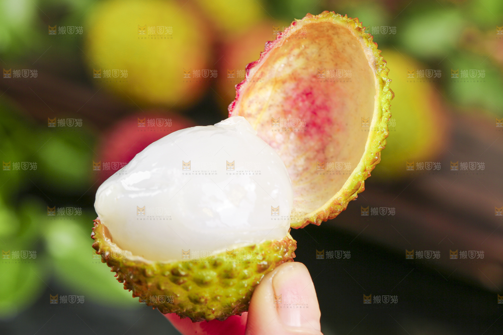 妃子笑荔枝