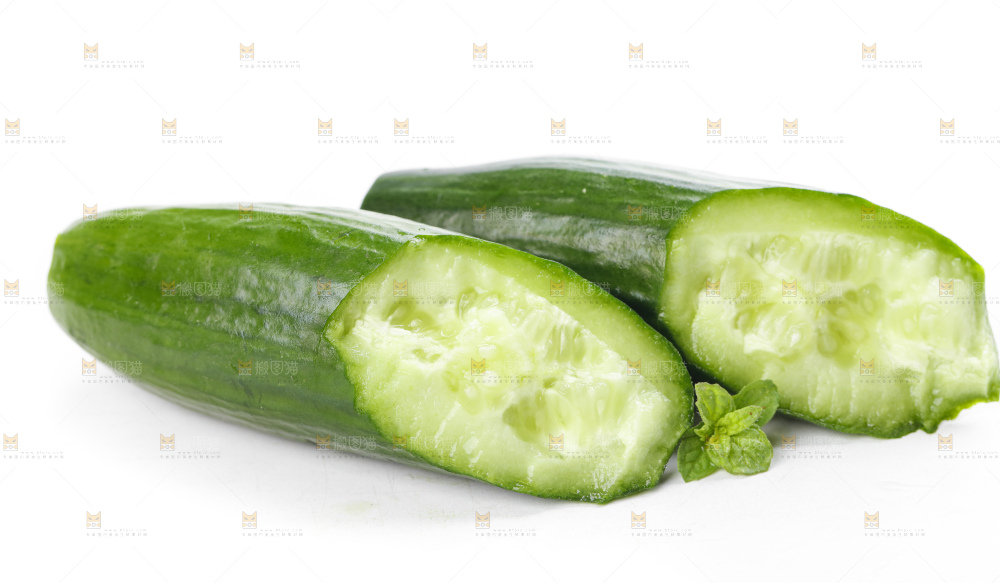 白底上摆放着山东水果黄瓜