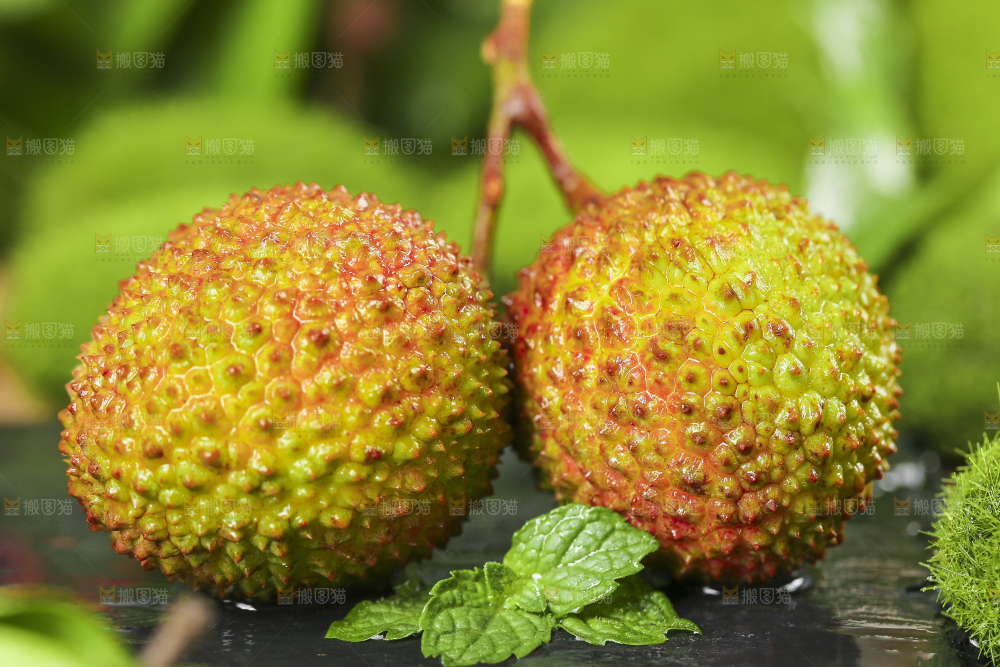妃子笑荔枝
