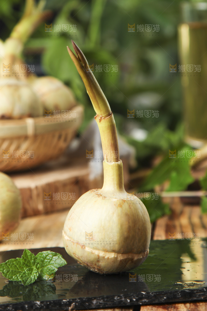 黑底上放着白茨菇