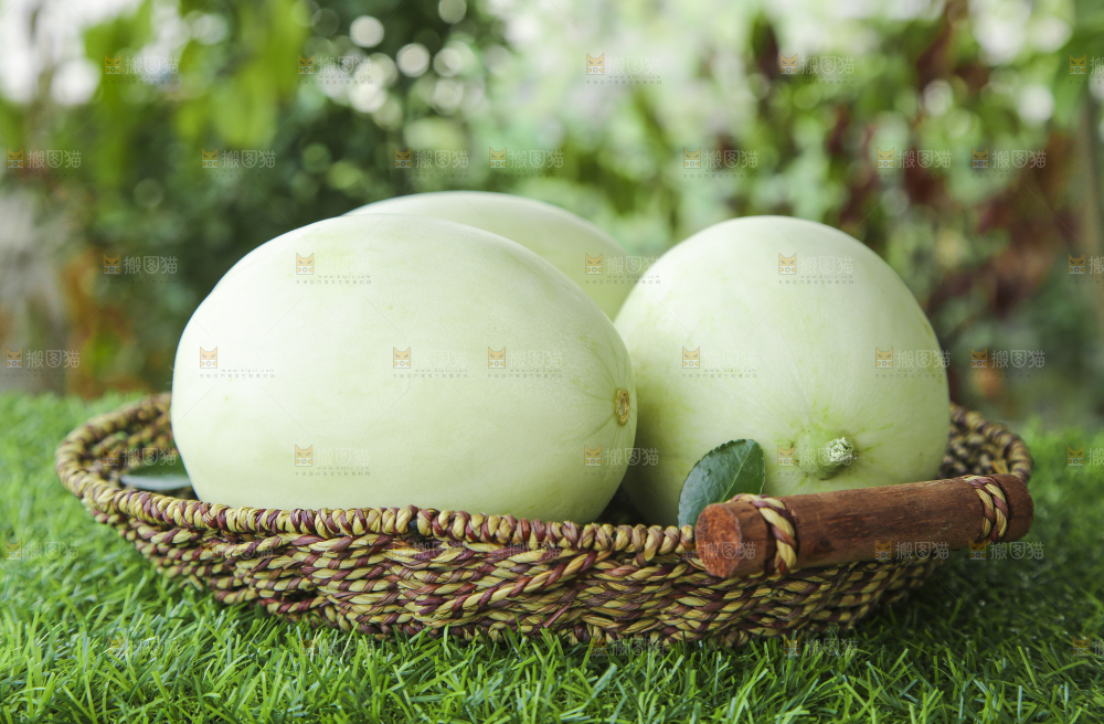篮子里装着南汇玉菇甜瓜
