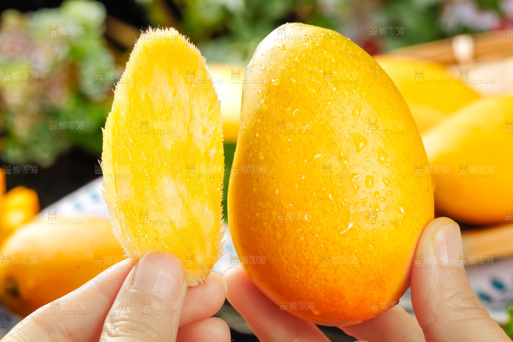 手里拿着芒果