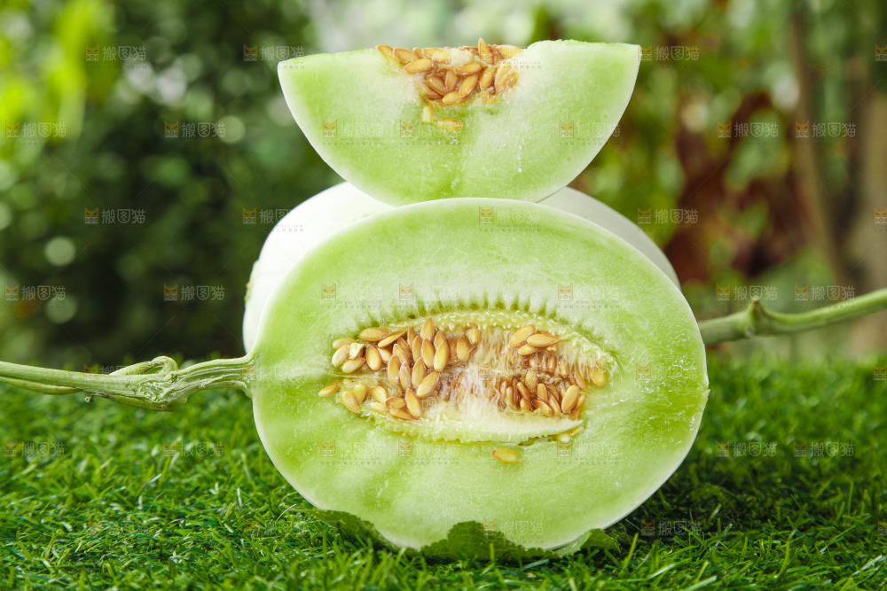 绿草地上摆放着玉菇甜瓜