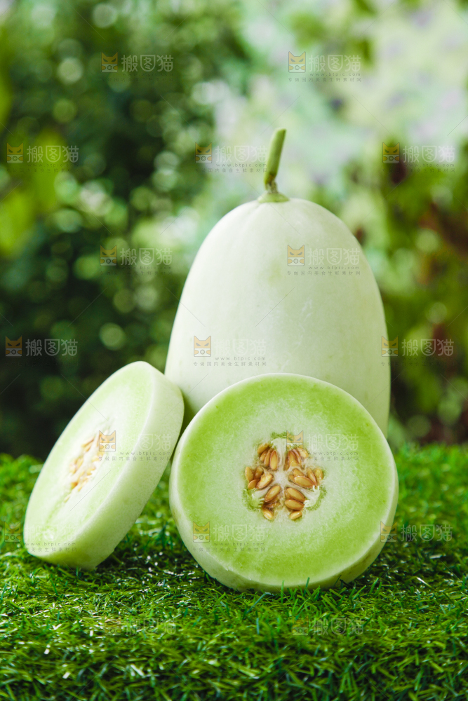 绿草地上摆放着玉菇甜瓜