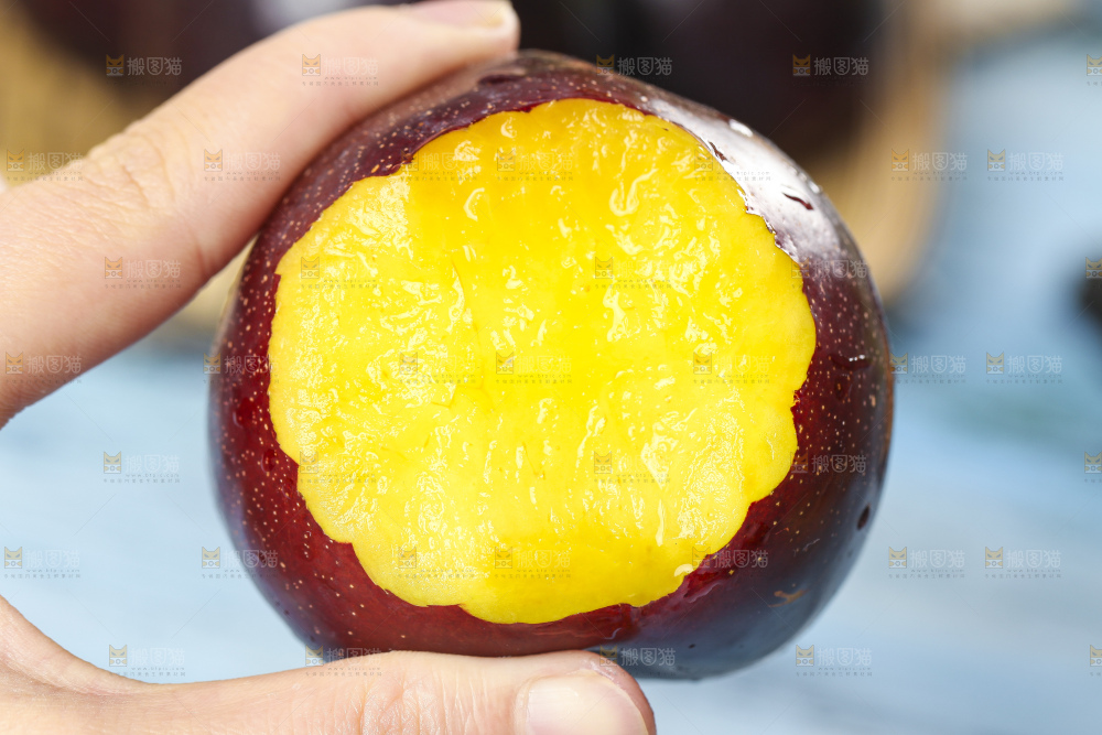 手里拿着陕西黑布林