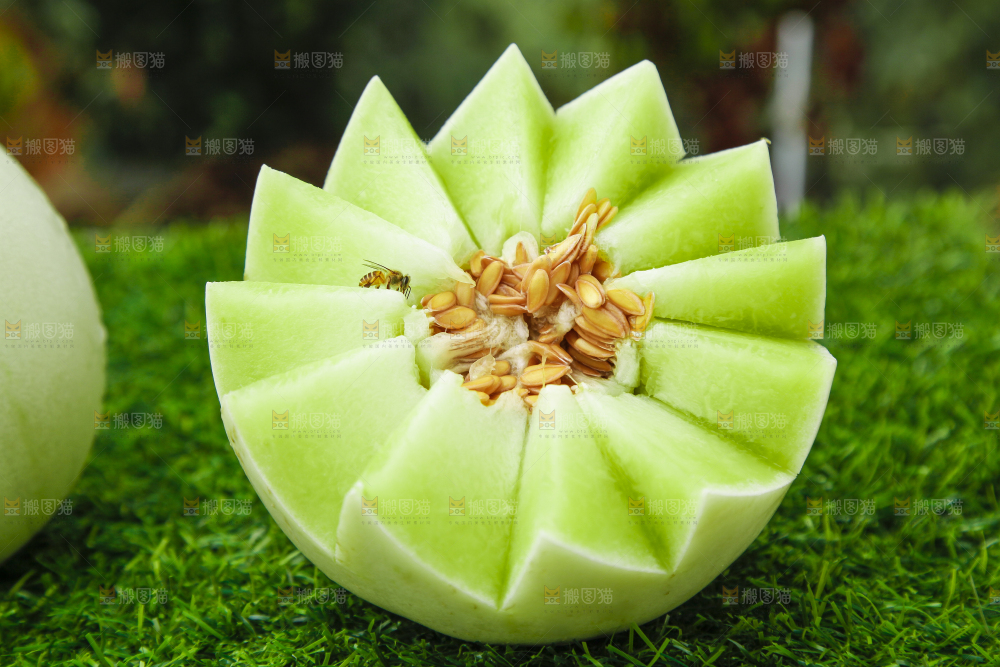 草地上摆放着玉菇甜瓜
