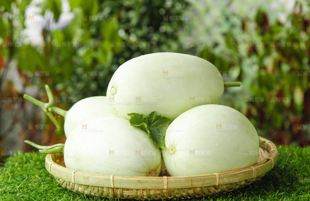 篮子里装着南汇玉菇甜瓜