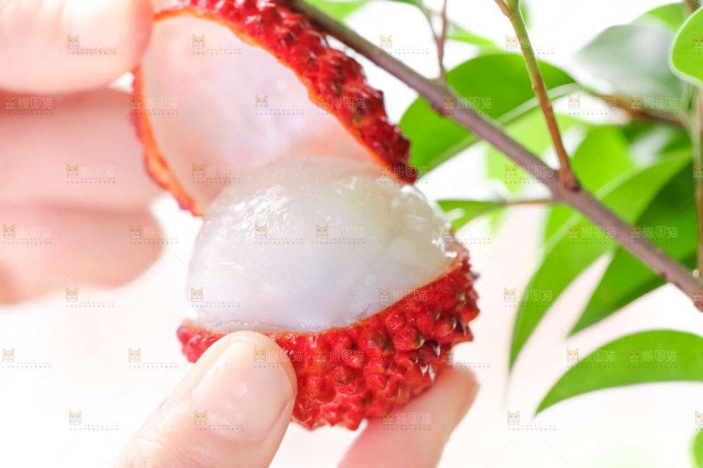 手里拿着荔枝