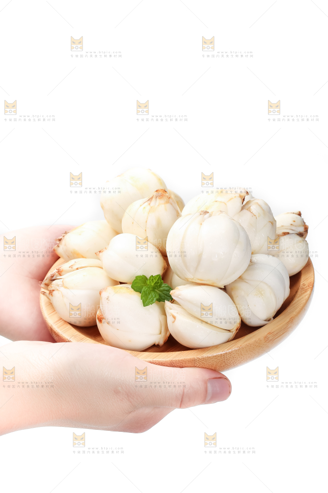 碟子里装着百合