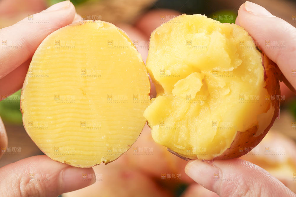 手里拿着红皮土豆