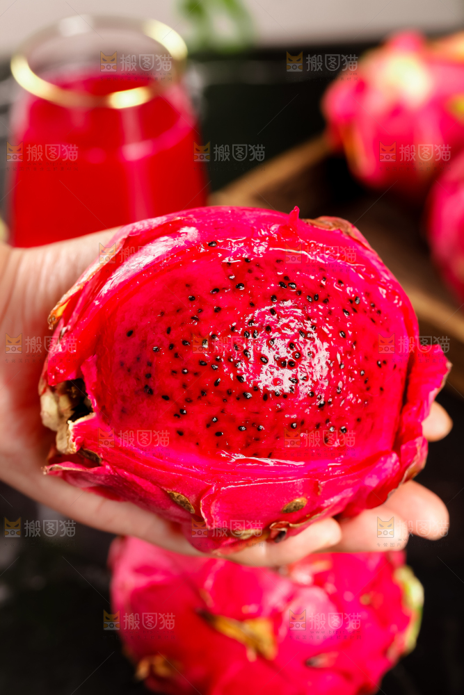 深底上的金都一号红心火龙果