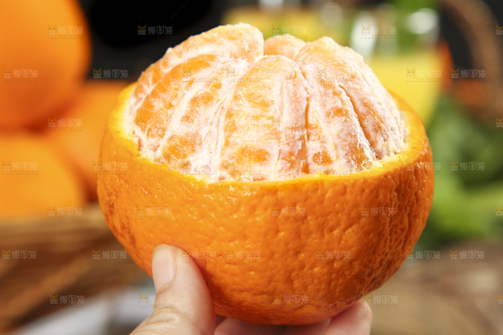 手里拿着四川耙耙柑