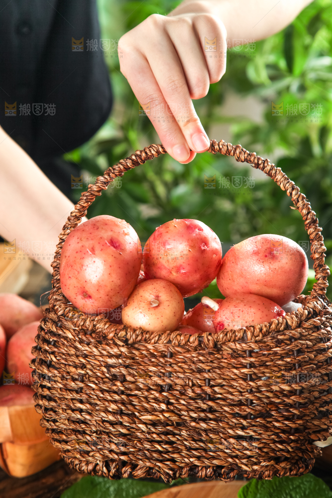 篮子里放着红皮土豆