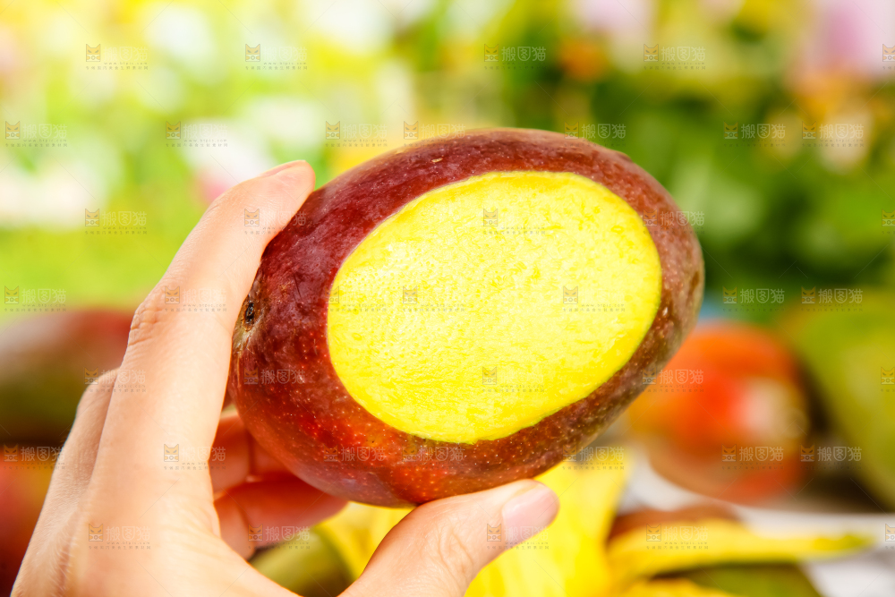 手里拿着四川吉禄芒