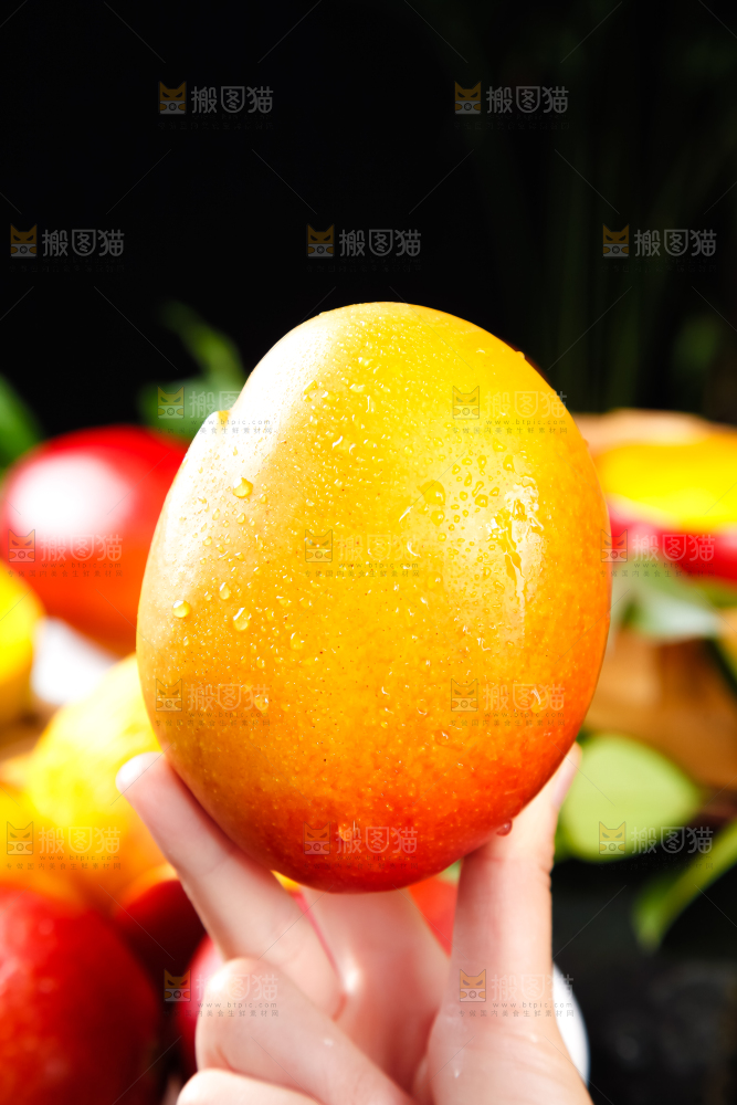 手里拿着吉禄芒果