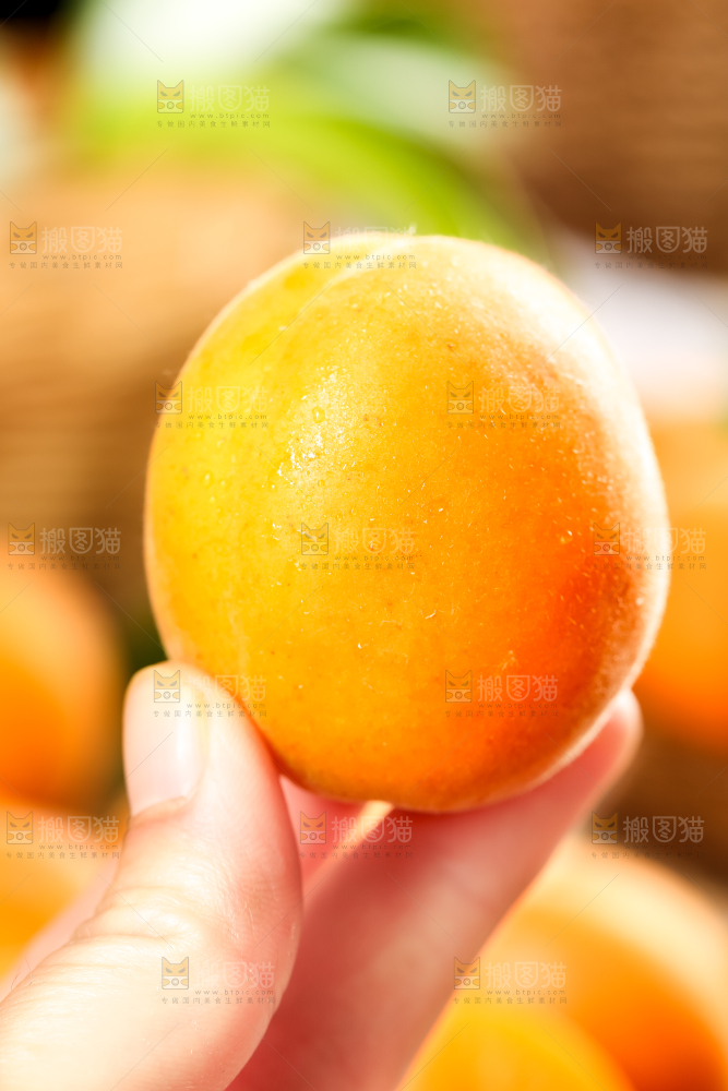 手里拿着杏子
