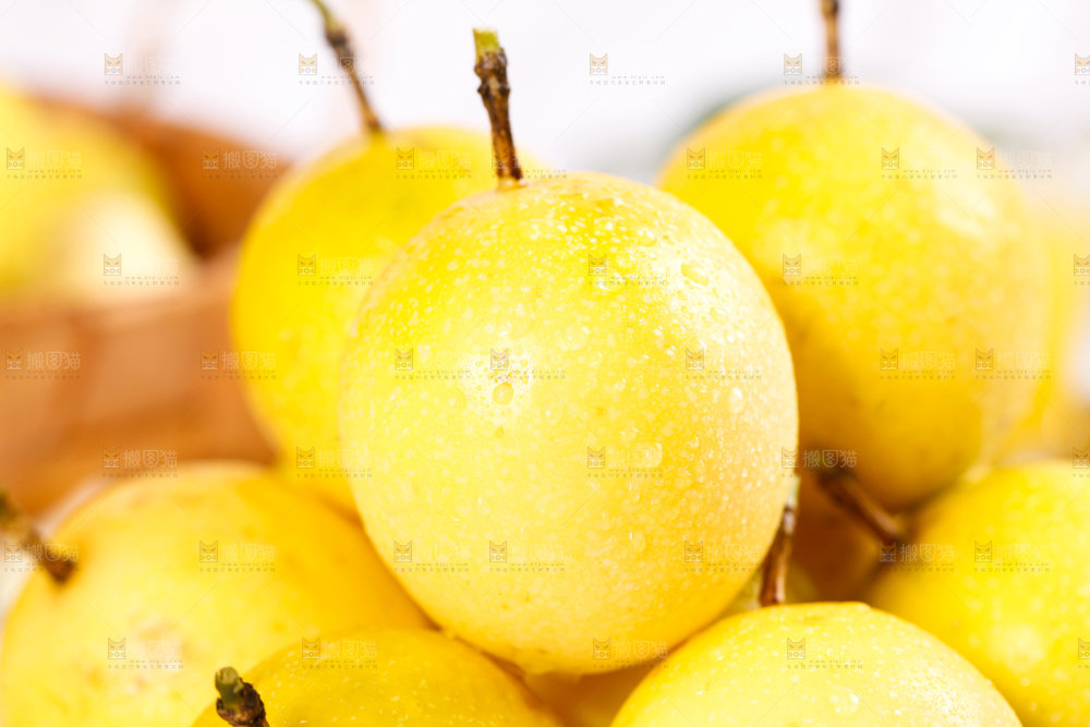 浅底上的黄金百香果