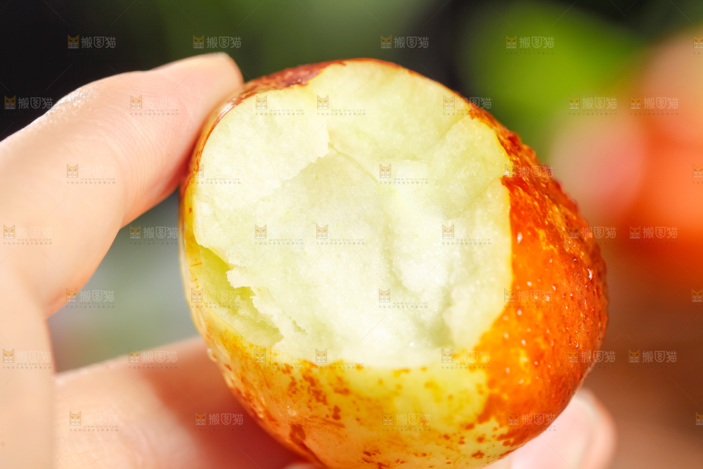 手里拿着沾化冬枣