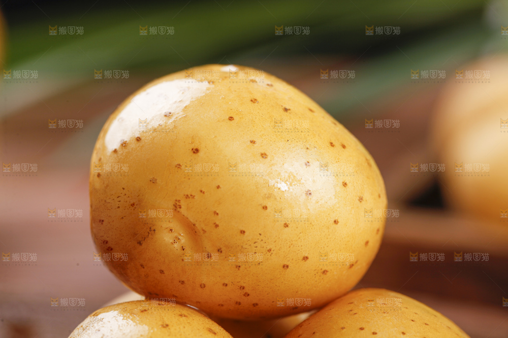 深底上的宜昌小土豆