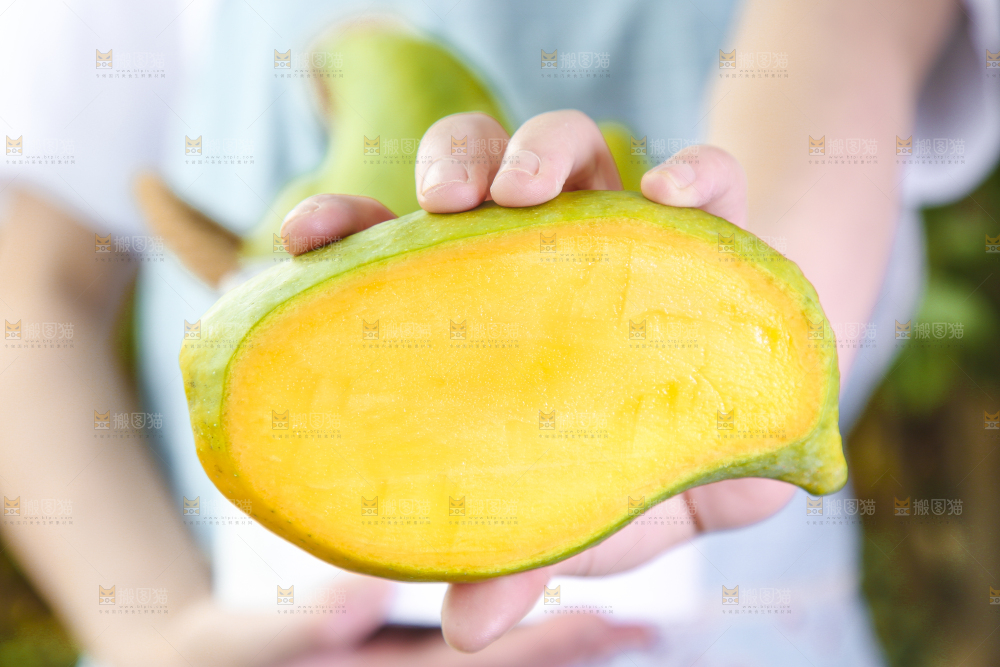 手里拿着芒果