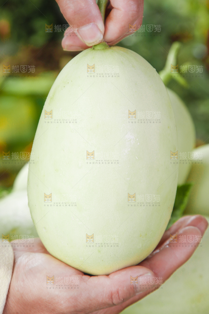 手里拿着玉菇香瓜