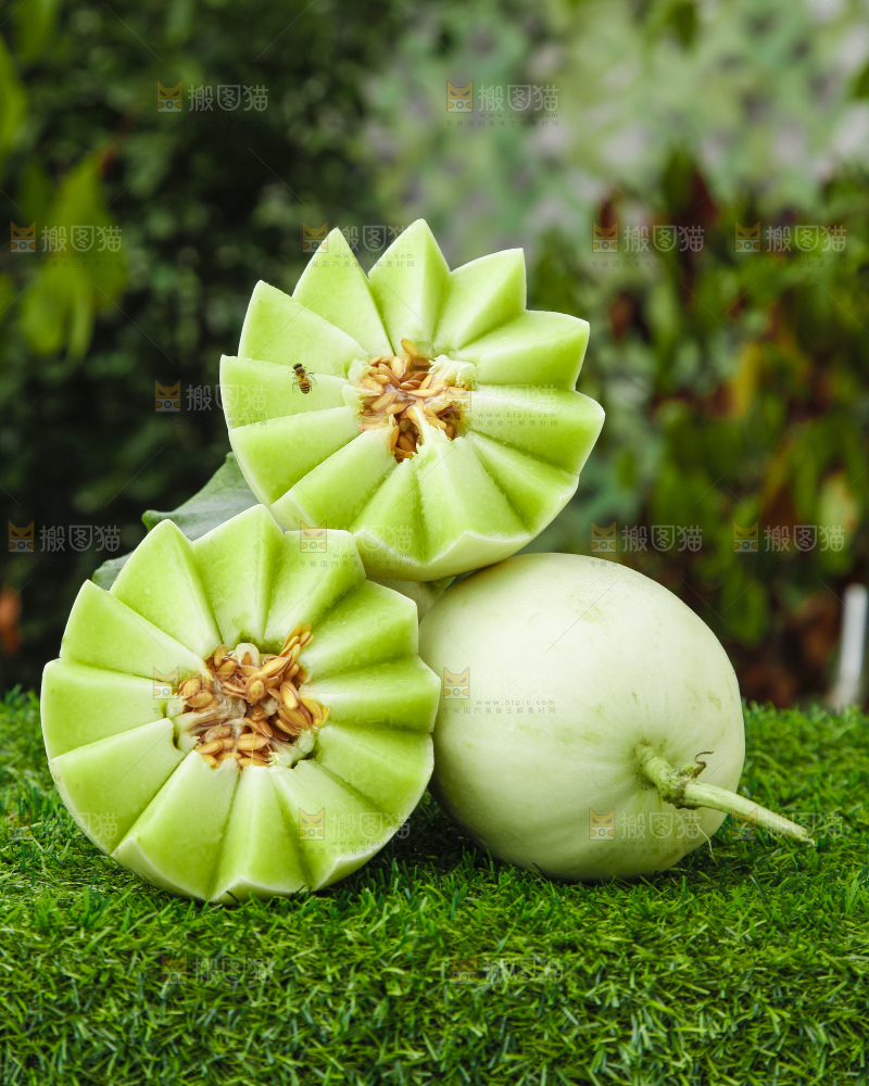 绿草地上摆放着玉菇甜瓜