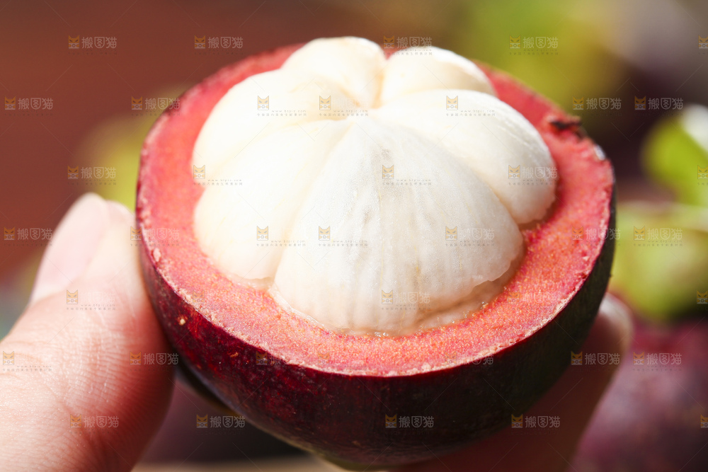 手里拿着山竹果
