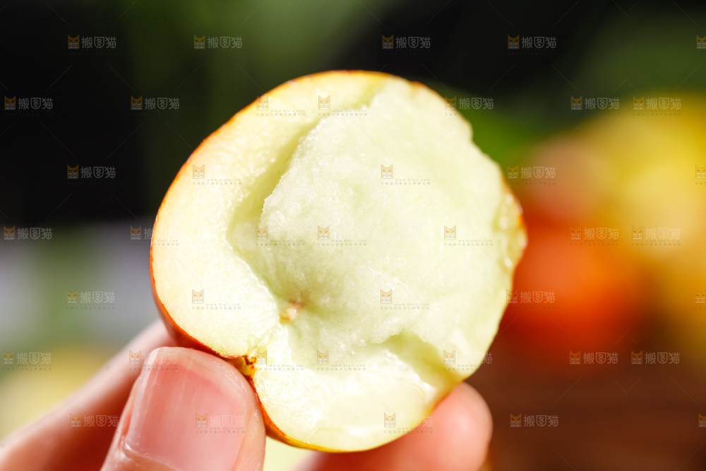 手里拿着沾化冬枣