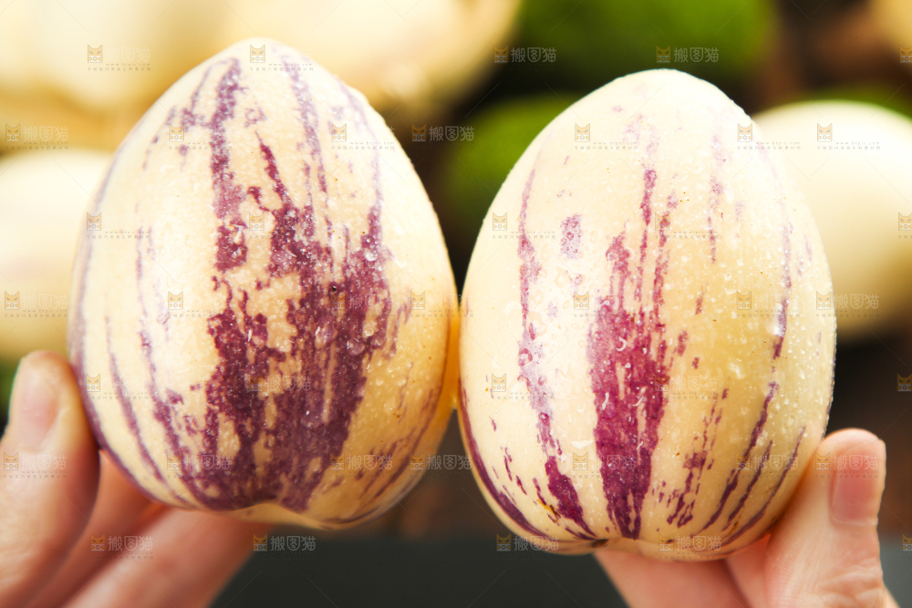 手里拿着人参圆果