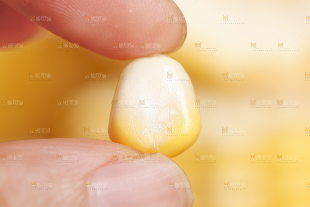 深底上放着金银水果玉米