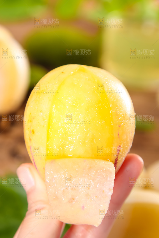 手里拿着黄心人参果