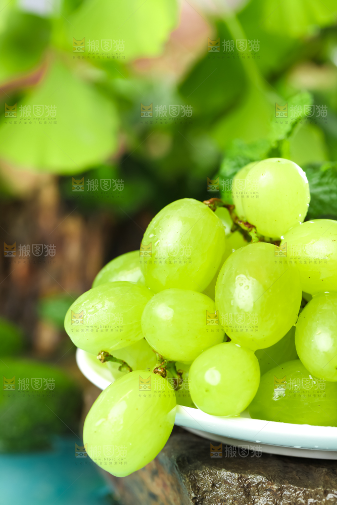 盘子里装着青提