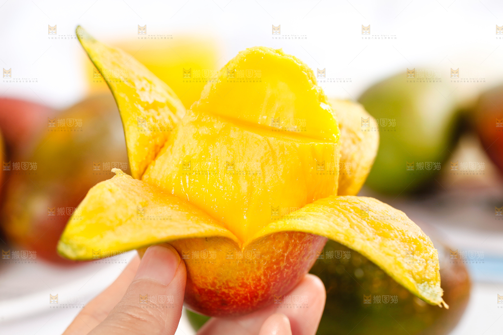 白底上放着吉禄芒