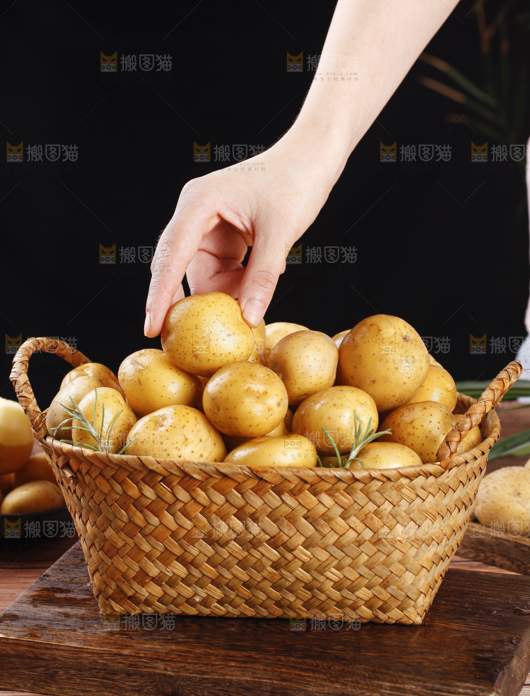 篮子里的山东黄皮小土豆