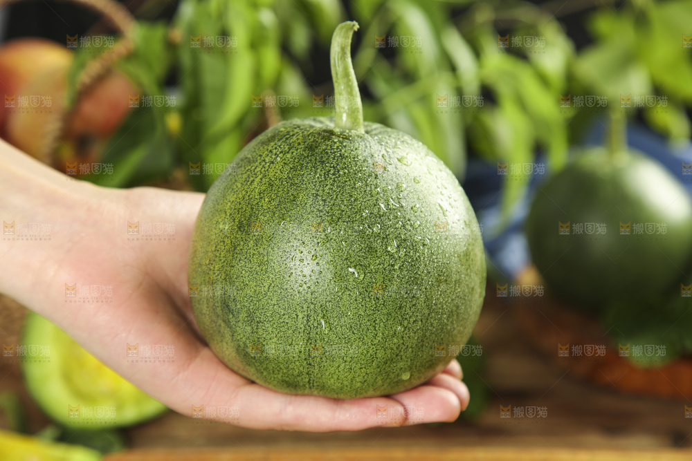 手里拿着绿宝石瓜