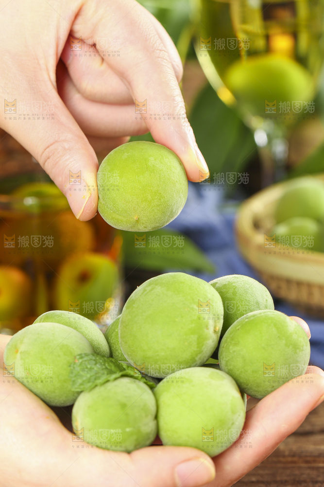 手里拿着脆酸青杏